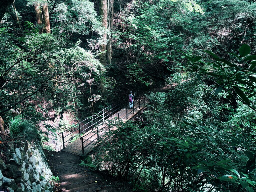 高尾山